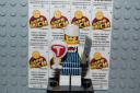 minifiguresseries6_017.jpg