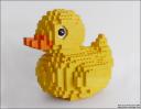 rubberduck2.jpg