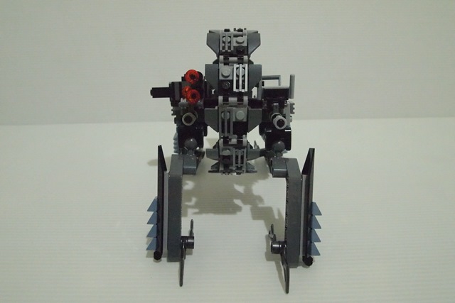p1010131.jpg