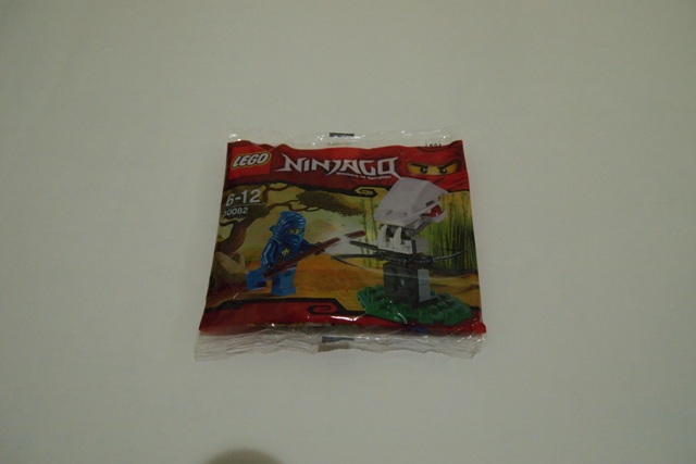 p1010677.jpg