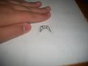 100_0783.jpg