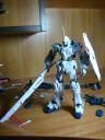 dsc01838.jpg
