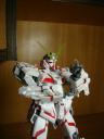 dsc01847.jpg