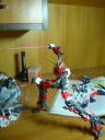 dsc01863.jpg