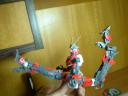 dsc01865.jpg