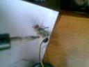 20100612_008.jpg