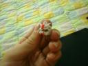 dsc01876.jpg