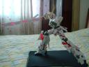 dsc01888.jpg