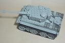 tiger3.jpg