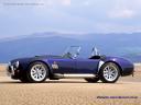 Cobra