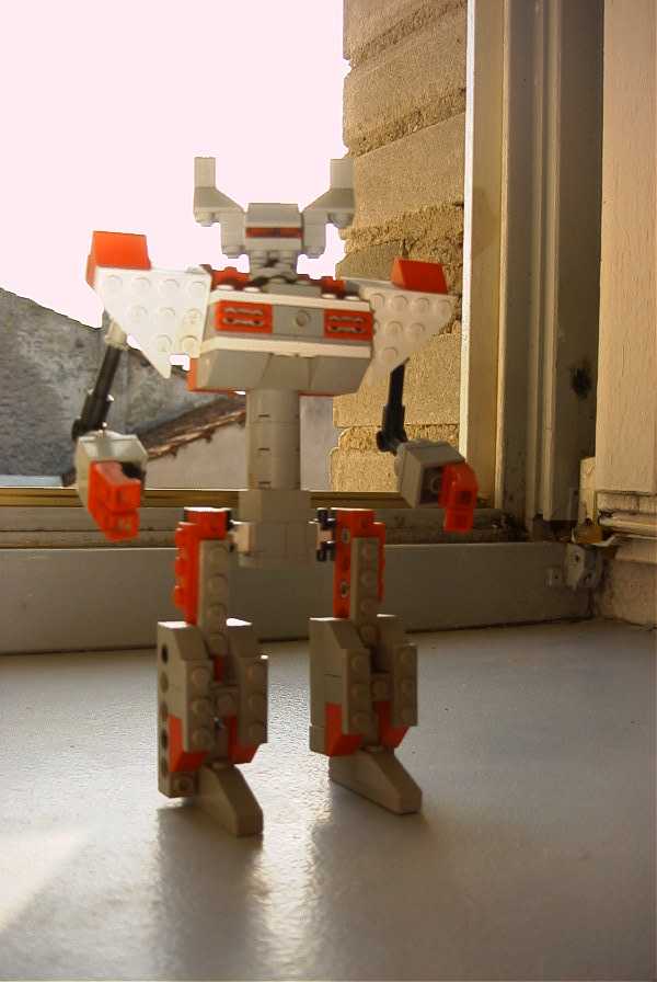 robert.jpg