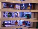 2008-0731-acghk_321.jpg