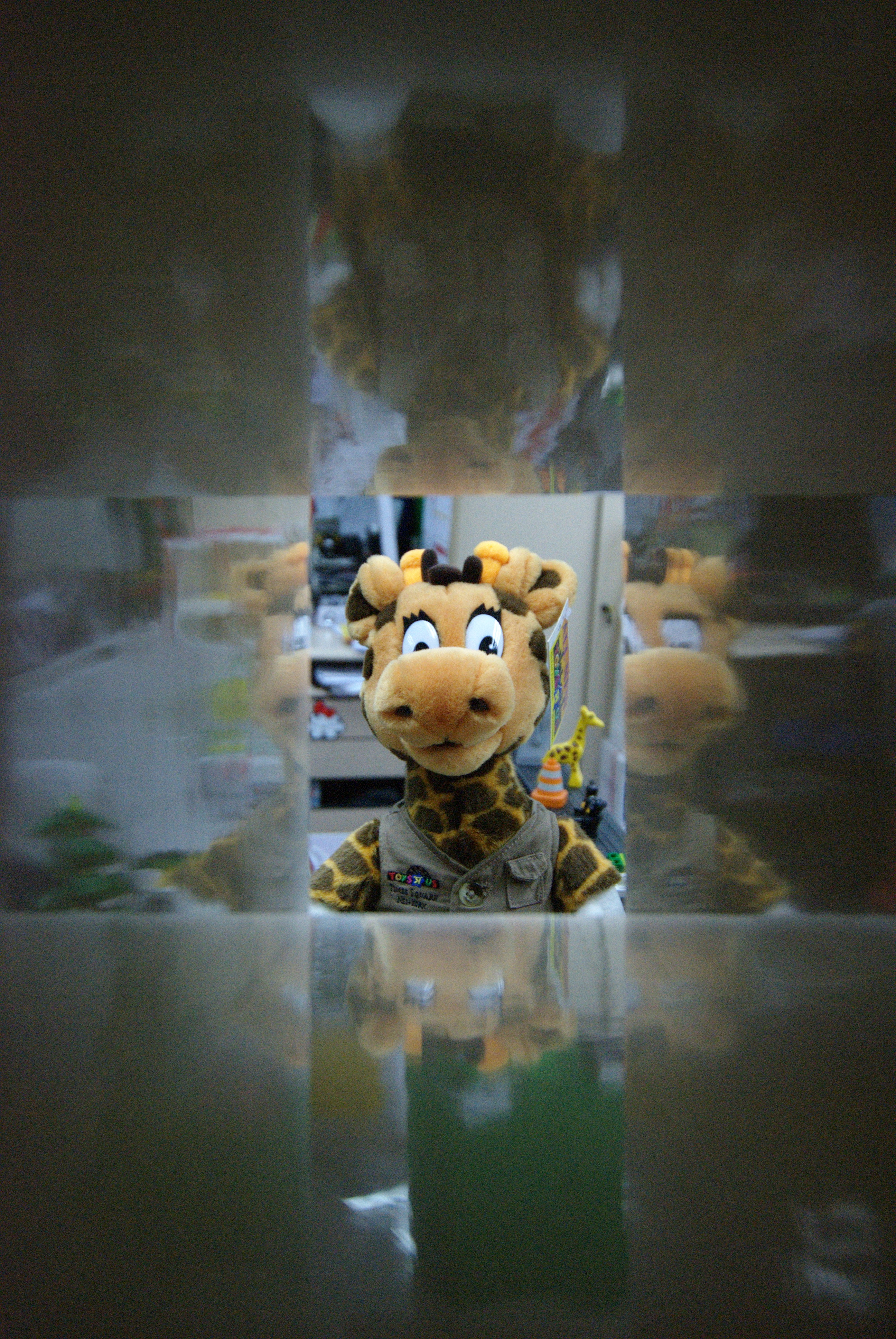 2009-0926-lego_14.jpg