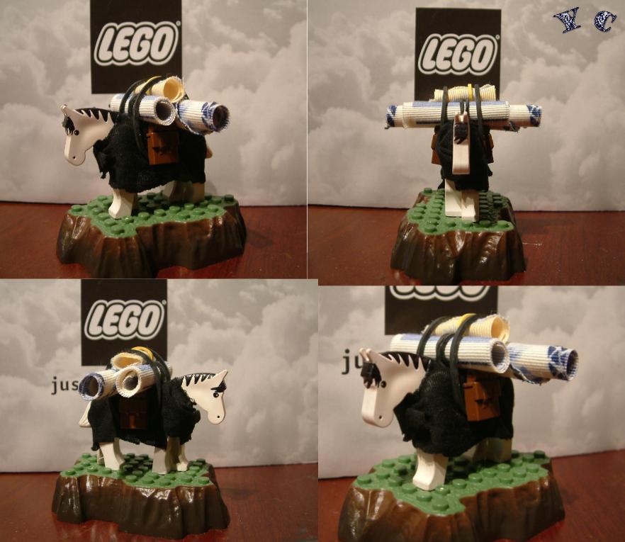 horse006.jpg