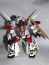 p1020679s.jpg
