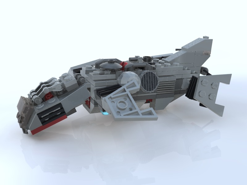 turtle03.jpg