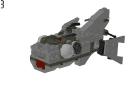 turtle_03.jpg