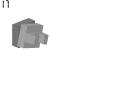 turtle_17.jpg