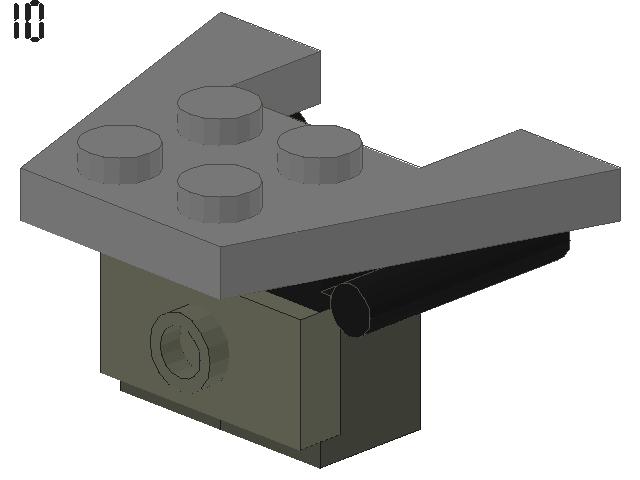 turtle_10.jpg