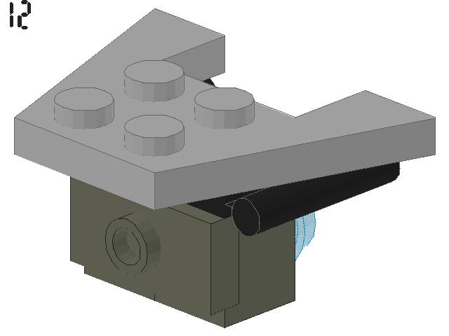 turtle_12.jpg
