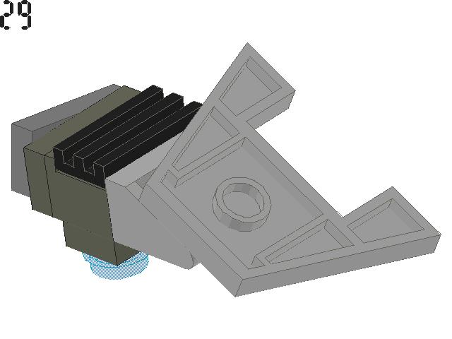 turtle_29.jpg