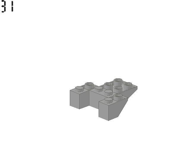 turtle_31.jpg