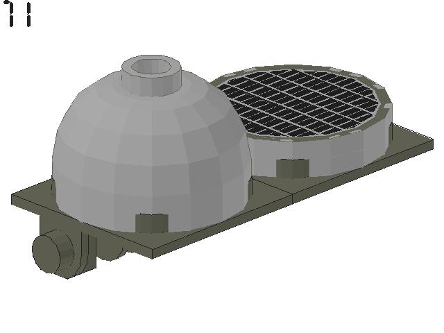 turtle_71.jpg