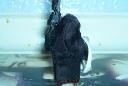 my_creations_004.jpg