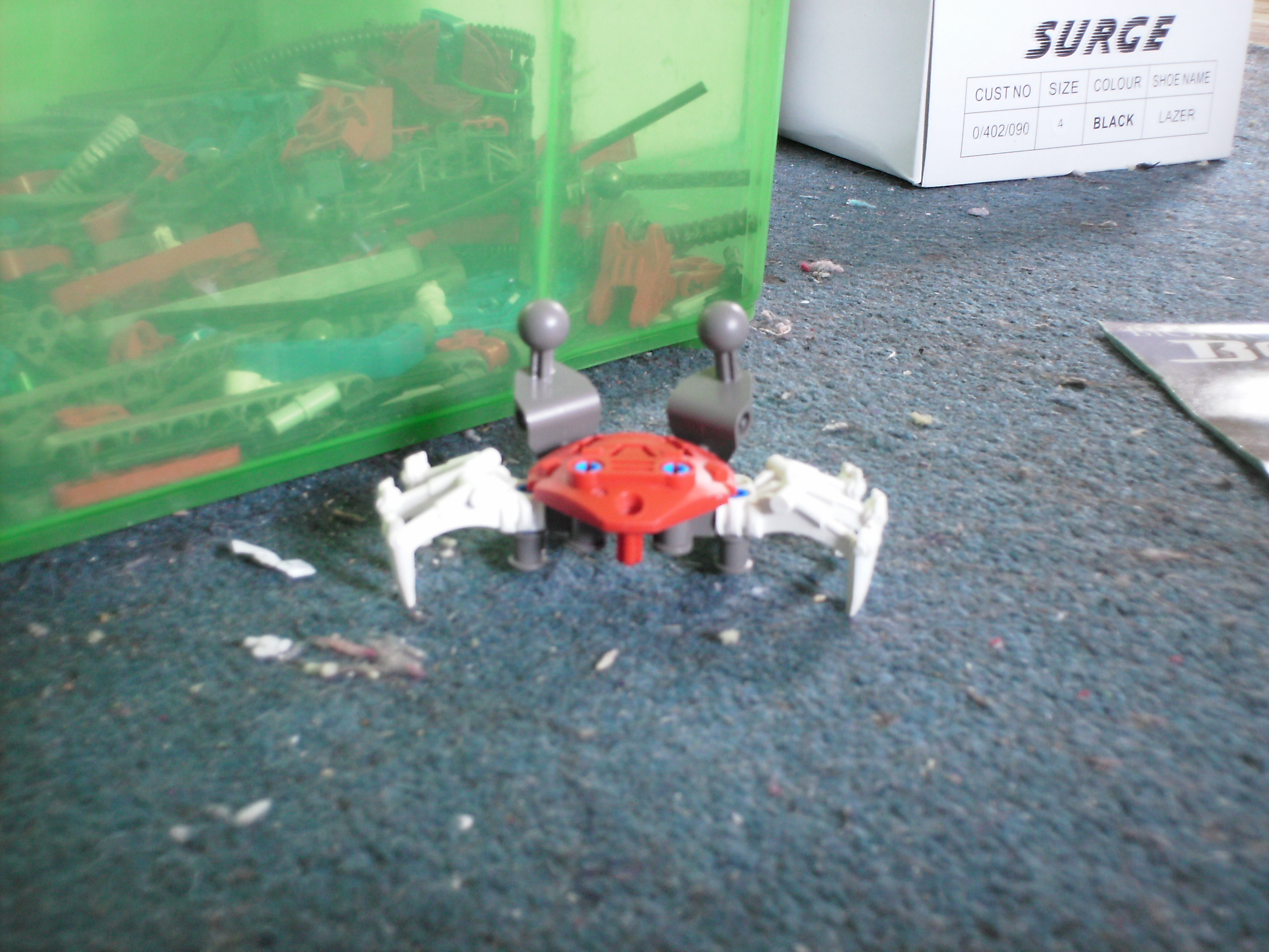 rokanui_crab_003.jpg
