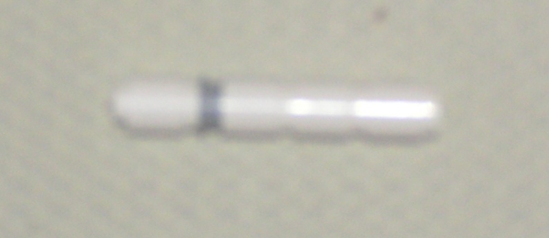 p1010086.jpg