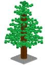 spruce.jpg