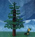 tree.jpg