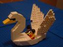 swan1.jpg