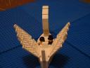 swan4.jpg