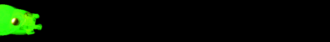 neonkraatagreen.gif