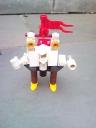 rooster