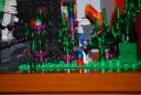 dsc_0185.jpg