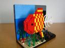 dsc04427.jpg