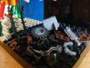 dsc04431.jpg