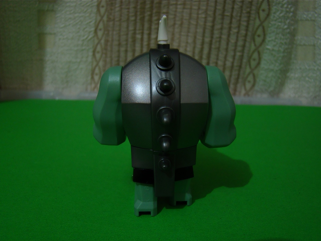 dsc04117.jpg