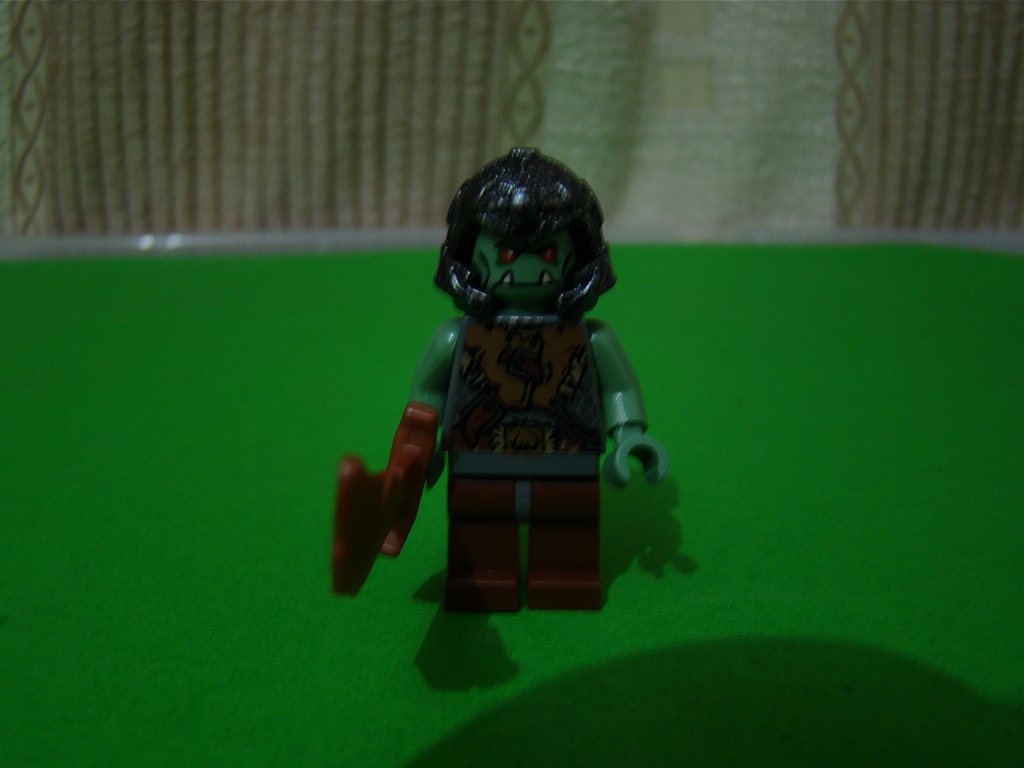dsc04122.jpg