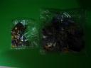 dsc04139.jpg