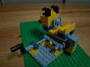 dsc07872.jpg