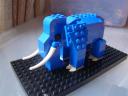 dsc07264.jpg