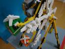 dsc06381.jpg