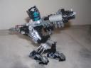 prototoa_10.jpg