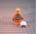 mini1.jpg