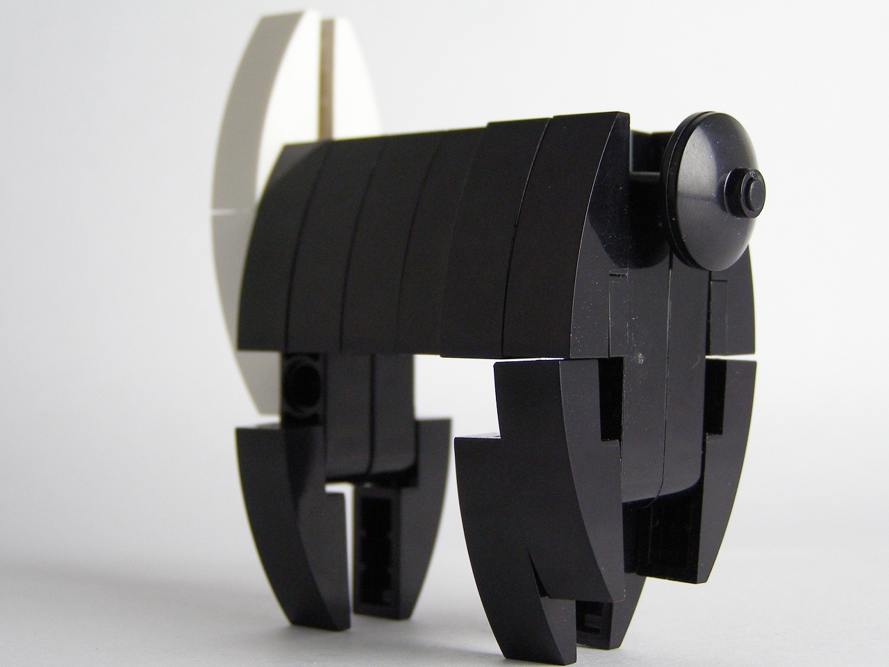 spacekitty06.jpg