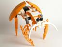 crabby01.jpg