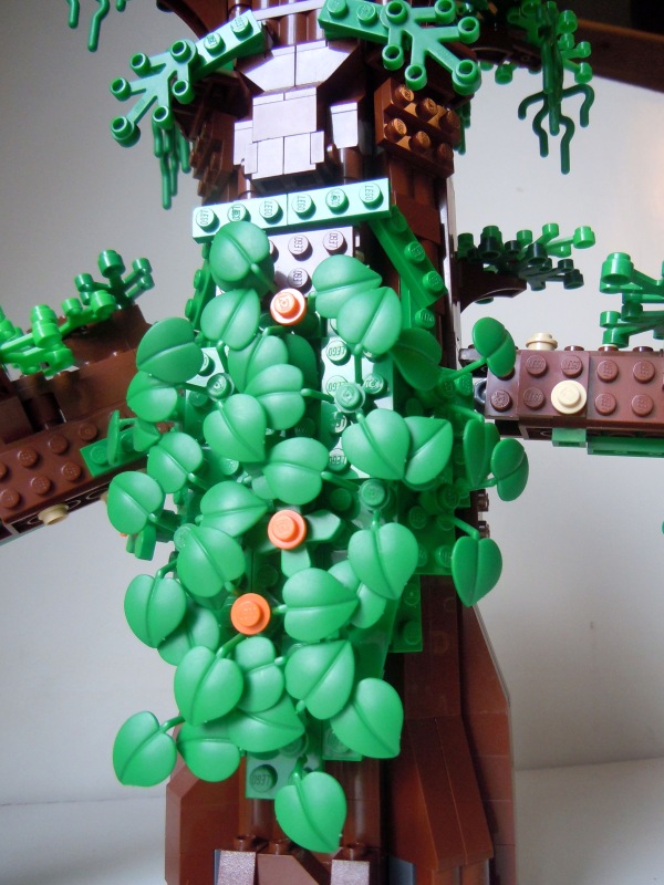ent01_800x600.jpg